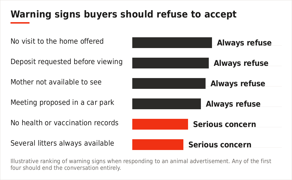 Chart ranking warning signs when responding to an animal advertisement